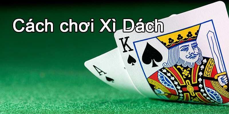 Bật mí cách chơi bài Xì Dách hiệu quả từ cao thủ