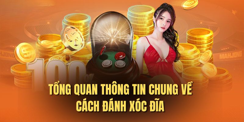 Tổng quan thông tin chung về cách đánh xóc đĩa